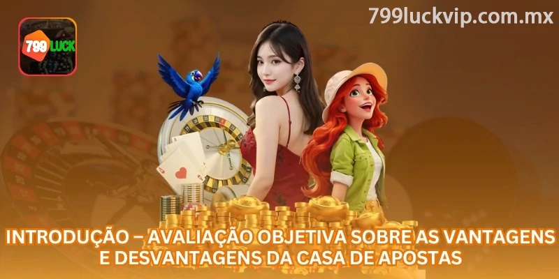 Comparação entre catálogo, históricos e carteira na experiência 799luck
